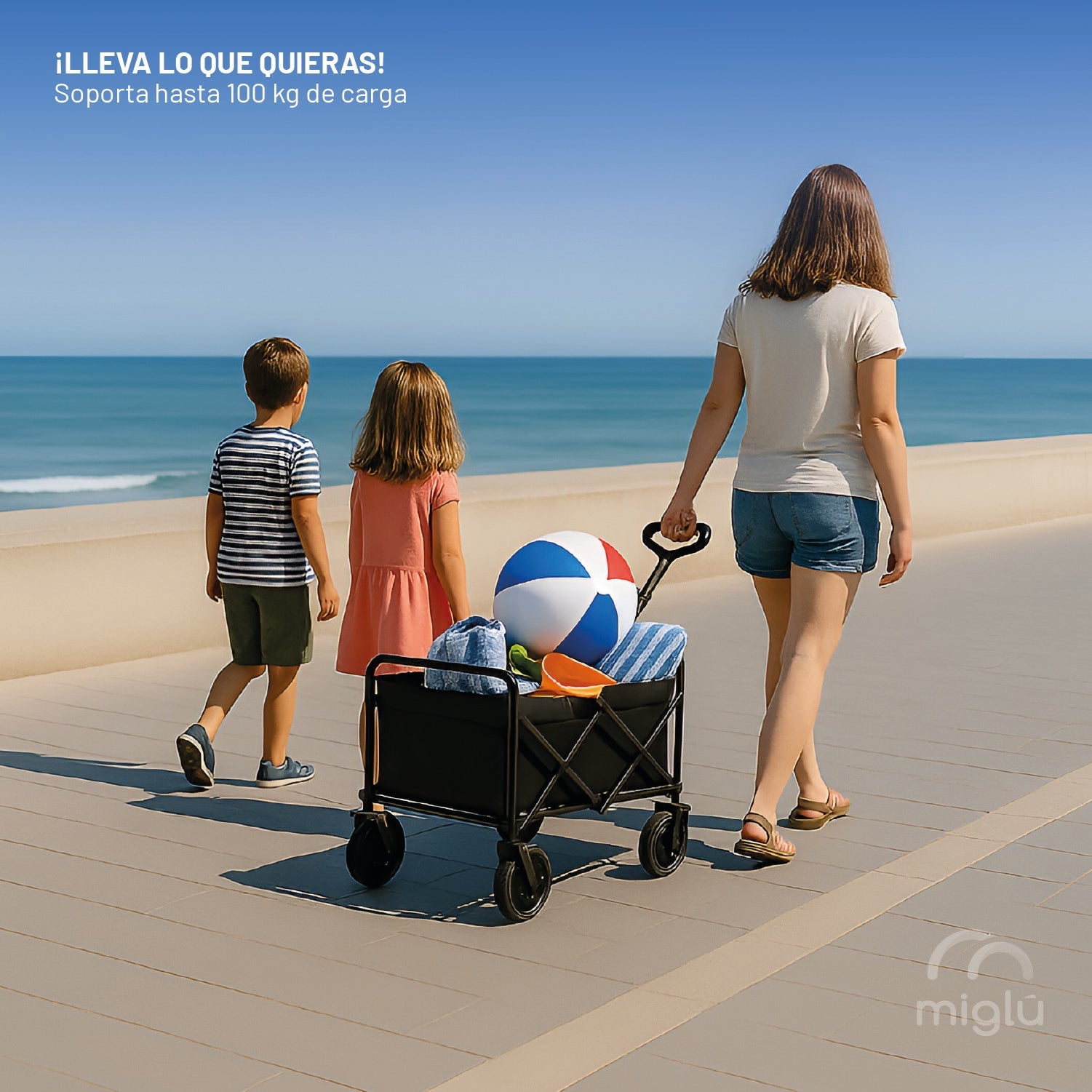 Carrito Plegable Camping Playa Niños Carro Yegua 100kg