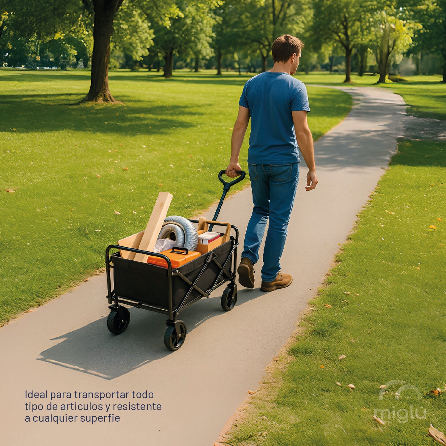 Carrito Plegable Camping Playa Niños Carro Yegua 100kg